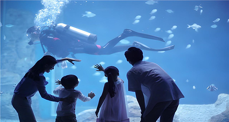 日照海洋公园第 64 张图片