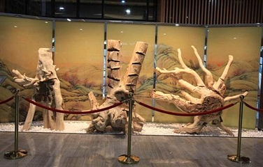 中国沉香文化博物馆第 13 张图片