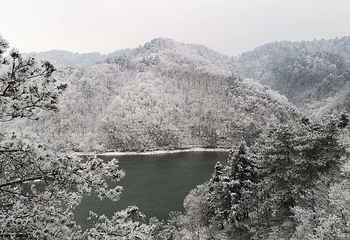 大明山万松岭滑雪场第 57 张图片