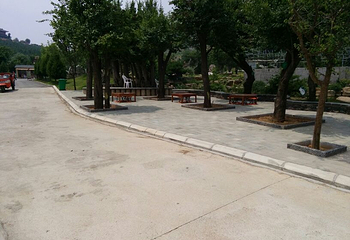 马泉养心谷第 27 张图片