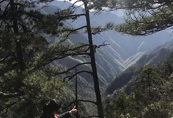 龙泉山旅游区第 48 张图片