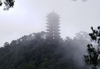 缙云山生态旅游观光索道第 27 张图片