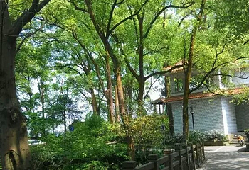 黑石山第 10 张图片