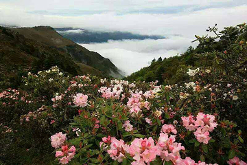 马湖风景名胜区第 15 张图片