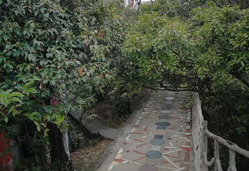 屏山旅游区第 13 张图片