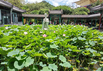 狮山公园第 3 张图片