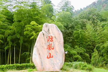 下渚湖熊猫园第 20 张图片