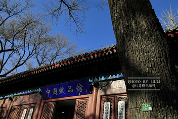 报国寺第 18 张图片