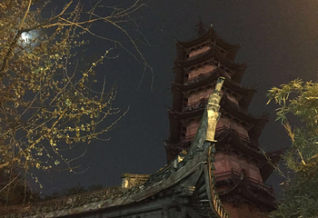 天封塔第 11 张图片