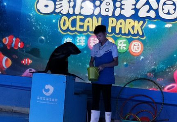 石家庄海洋公园(海悦天地购物广场店)第 28 张图片