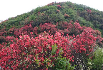 天堂山第 2 张图片