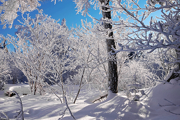 丝绸之路山地度假区滑雪场第 52 张图片