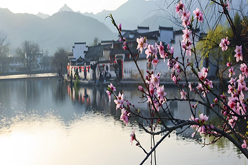 宏村景区第 71 张图片