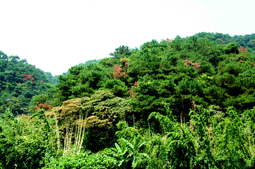 飞霞风景名胜区第 42 张图片