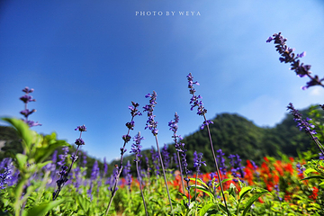 花坝旅游度假区第 30 张图片