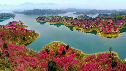 武宁花源谷第 21 张图片