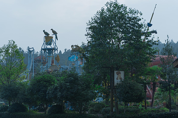 清水湾沁温泉第 58 张图片