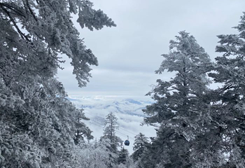 西岭雪山大飞水风景区第 53 张图片