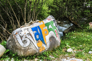 通天河第 5 张图片