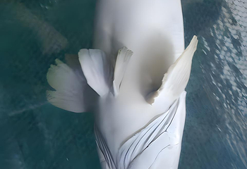 长沙海底世界第 57 张图片