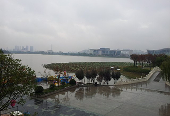 琴台钢琴博物馆第 26 张图片