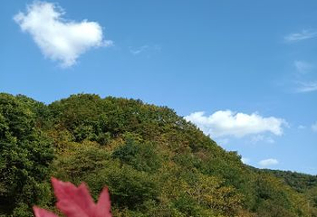 丹东天桥沟景区第 80 张图片