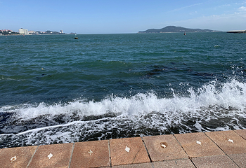 威海幸福门第 31 张图片
