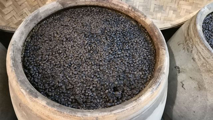 古龙酱文化园第 22 张图片