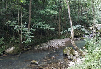 九路寨生态旅游区第 83 张图片