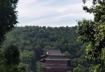 南山路第 24 张图片