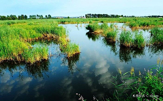 白渔泡湿地公园