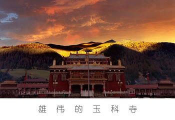 玉科大草原第 11 张图片