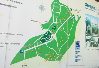 宋井第 18 张图片