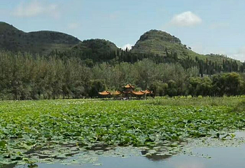 招堤风景区第 22 张图片