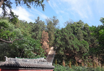 风穴寺第 5 张图片