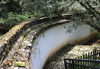香榧森林公园第 44 张图片