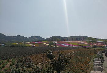 青岛西海岸生态观光园第 18 张图片