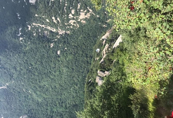 华山特产第 17 张图片