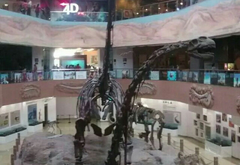 昌吉恐龙馆第 17 张图片