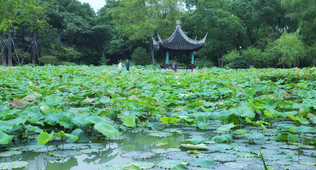 一榭园景区第 14 张图片