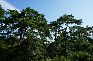 婺源石门峡山野秘境第 33 张图片