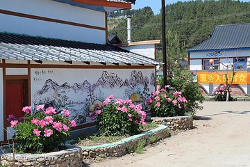 光东村第 36 张图片