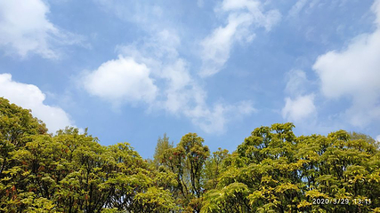 竹林长寿山第 23 张图片