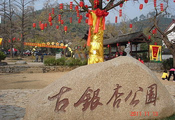 八都岕景区-古银杏公园第 8 张图片