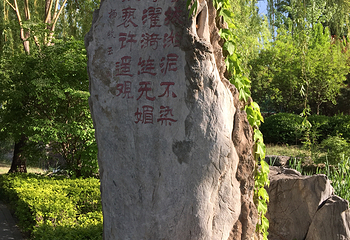 青年湖公园第 8 张图片