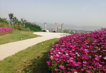 西安植物园新区第 53 张图片