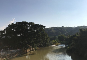福建土楼·永定景区-侨福楼第 20 张图片