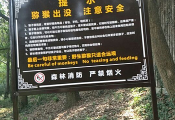 苏州上方山国家森林公园第 61 张图片
