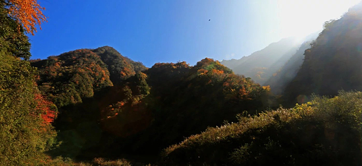 观雾山第 19 张图片