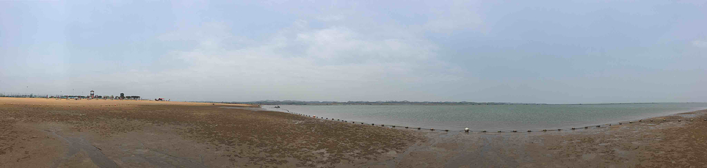 茅尾海第 7 张图片